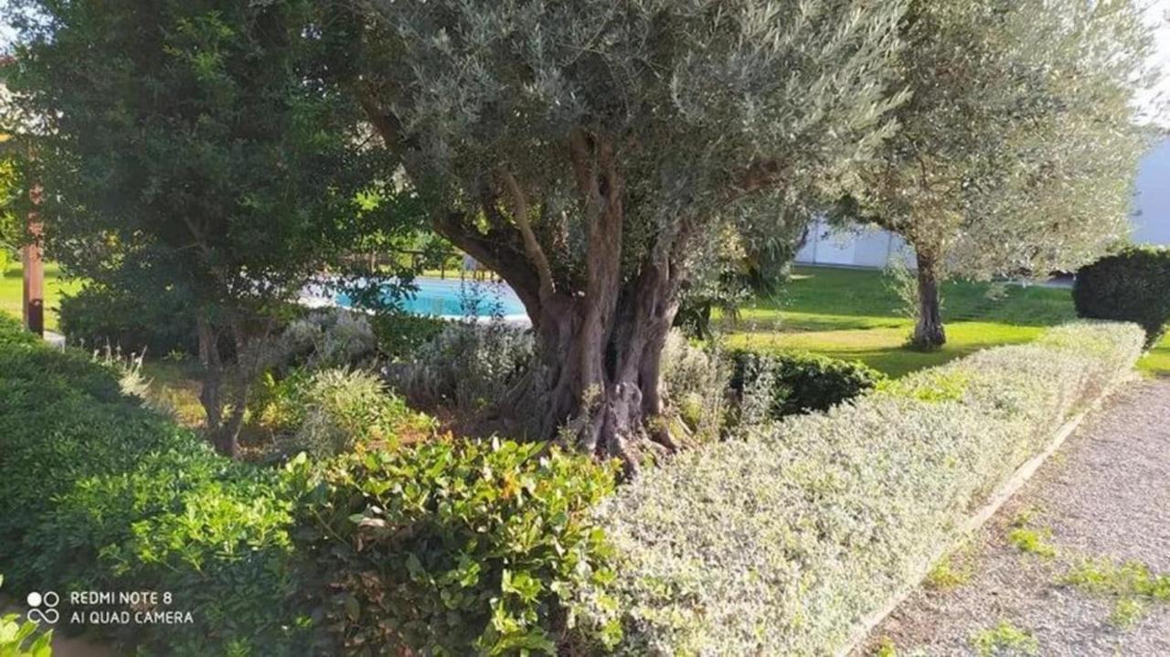 Luxurious 6 Bedroom Villa In A Great Location Chalkida Luaran gambar