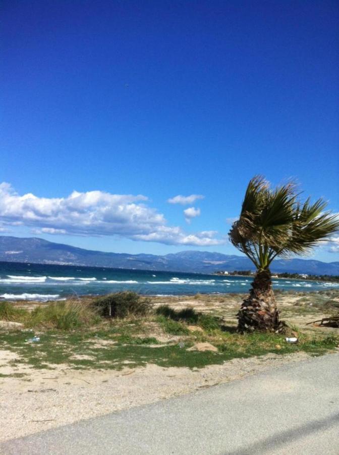 Luxurious 6 Bedroom Villa In A Great Location Chalkida Luaran gambar